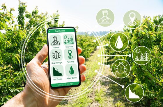 Blockchain y la agricultura de precisión – Retos en la industria