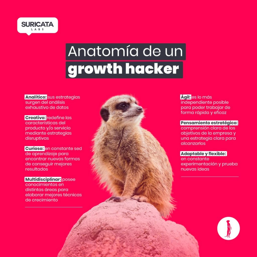 Suricata Labs SAS BIC