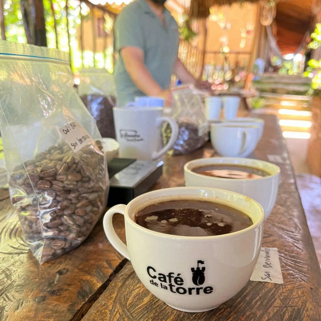 Café de la Torre SAS
