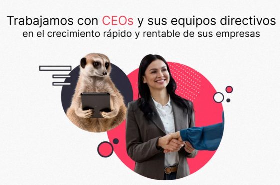 Suricata Labs SAS BIC